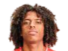 https://img.enkune.com/img/football/player/135ad8787fd13961a93e165e79e736ff.png